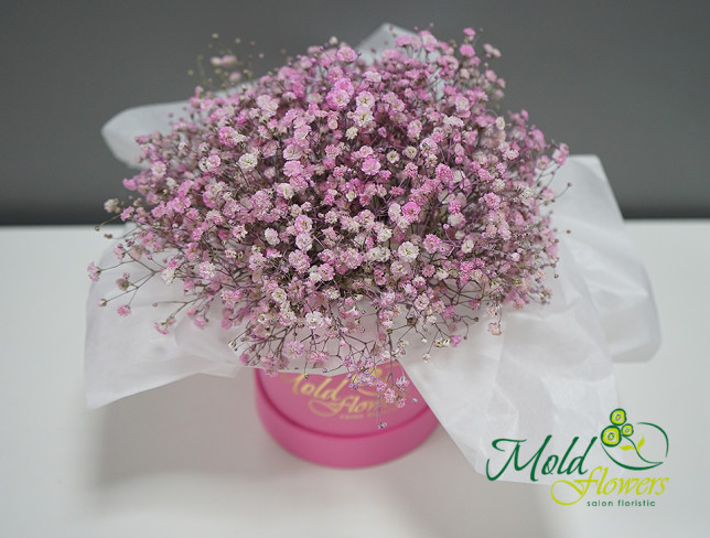 Box with pink gypsophila (made to order, 10 days) photo